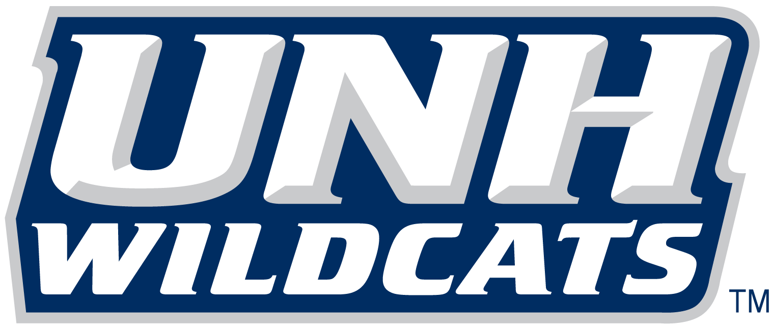 New Hampshire Wildcats 2000-Pres Wordmark Logo t shirts iron on transfers v4
